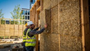 Holzwolle als Dämmstoff: Vorteile, Nachteile und ehrliche Bewertung für 2026